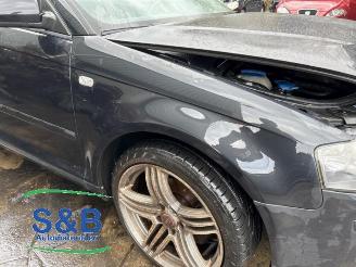 Audi A3 A3 Sportback (8PA), Hatchback 5-drs, 2004 / 2013 2.0 FSI 16V picture 18