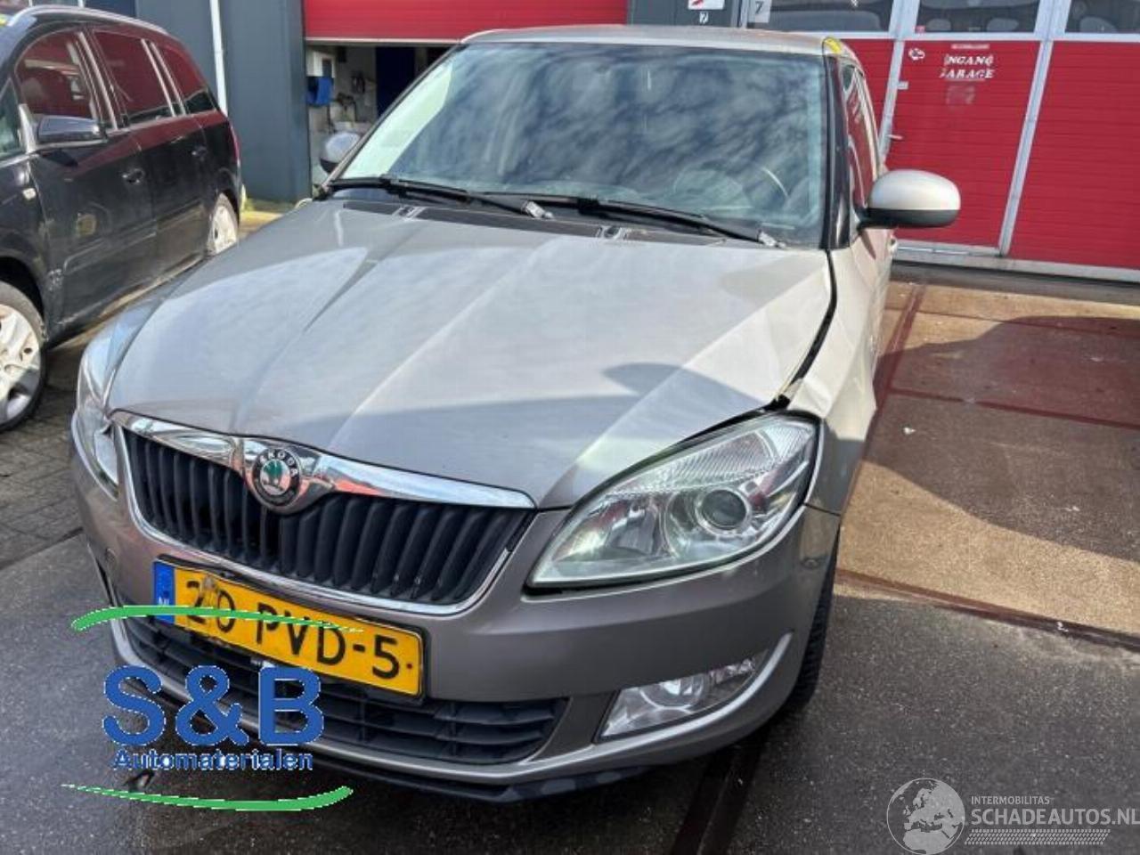 Skoda Fabia Fabia II Combi, Combi 5-drs, 2007 / 2015 1.2 TDI 12V Greenline