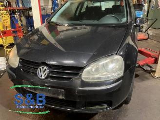 Sloopauto Volkswagen Golf Golf V (1K1), Hatchback, 2003 / 2010 1.4 16V 2004/1
