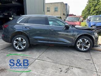 Audi E-tron E-tron (GEN), SUV, 2018 50 quattro picture 8