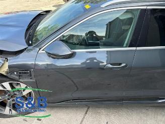 Audi E-tron E-tron (GEN), SUV, 2018 50 quattro picture 27