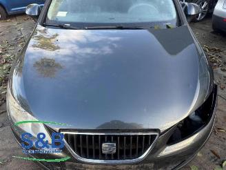 Seat Ibiza Ibiza IV (6J5), Hatchback 5-drs, 2008 / 2017 1.4 16V picture 32