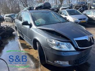 Skoda Octavia Octavia Combi (1Z5), Combi 5-drs, 2004 / 2013 1.8 TSI 16V 4x4 picture 2