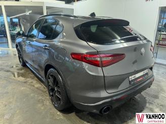 Alfa Romeo Stelvio  picture 10