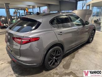 Alfa Romeo Stelvio  picture 7