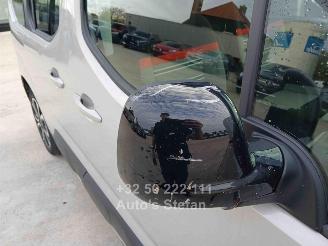 Citroën Berlingo XTR picture 22