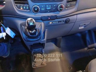 Ford Transit TOURNEO CUSTOM picture 17