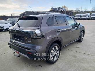 Suzuki SX4 S-CROSS picture 6