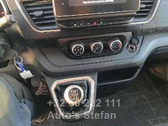 Nissan Primastar  picture 11