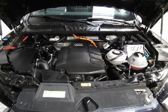 Audi Q5 SUV picture 11