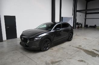 krockskadad bil auto Mazda CX-30 SUV 2023/9
