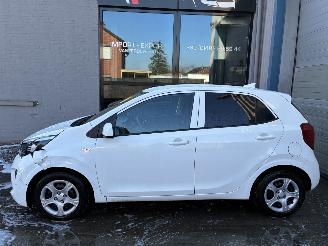 Damaged car Kia Picanto KIA PICANTO 1.0I AUTOMAAT 2024 2024/5