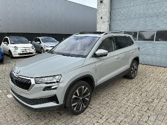 skadebil auto Skoda Karoq SKODA KAROQ 2.0D DSG 2024 2024/3