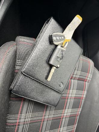 Volkswagen Golf 2.0 TSI GTI Performance picture 19