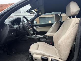 BMW 2-serie 218i M PAKKET CABRIO picture 19