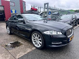Jaguar XJ 3.0 V6D PREMIUM LUXURY picture 3
