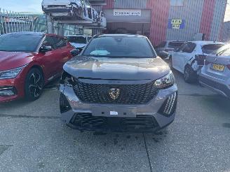 Peugeot 2008 e-2008 II Active picture 2