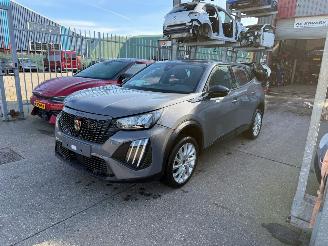 krockskadad bil auto Peugeot 2008 e-2008 II Active 2024/7