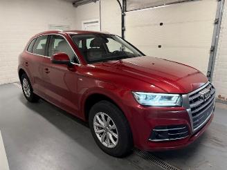 Schadeauto Audi Q5  2019/4