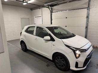 skadebil auto Kia Picanto  2025/5