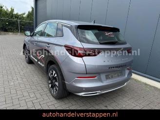 Purkuautot passenger cars Opel Grandland X PHEV 165KW Hybrit 2023/11