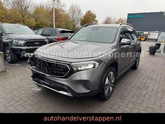 Avarii autoturisme Mercedes EQB 250 140KW Advanced 7-Sitzer 2023/6