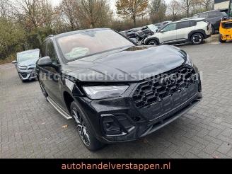 Vaurioauto  passenger cars Audi Q5 50 TDI Quattro S line Sport Plus 210KW 2024/3