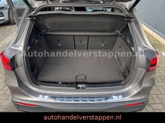 Mercedes EQA 250+ AMG SPORT  Panorama Facelift NEW picture 24