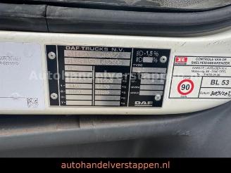 DAF   picture 14