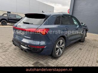  Audi Q8 e-tron 55 Quattro S line Panorama 2023/9