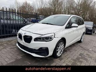 škoda osobní automobily BMW 2-serie 18I Gran Coupé Advantage Automatik 7-sitzer 2020/3