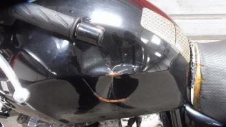 Suzuki  INAZUMA picture 6