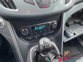 Ford C-Max C-Max (DXA), MPV, 2010 / 2019 1.0 Ti-VCT EcoBoost 12V 125 picture 14