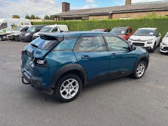 Citroën C4 cactus  picture 4
