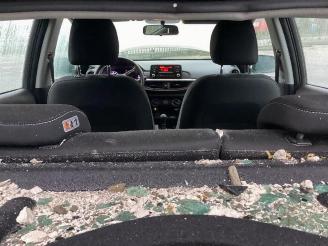 Kia Picanto Picanto (JA), Hatchback, 2017 1.0 12V picture 14