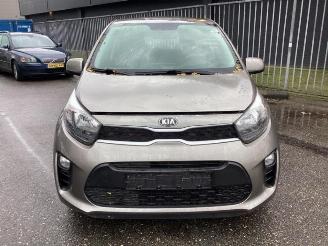 Kia Picanto Picanto (JA), Hatchback, 2017 1.0 12V picture 8