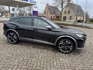 Cupra Formentor 2.0 TSI  VZ 245 Pk DSG picture 9
