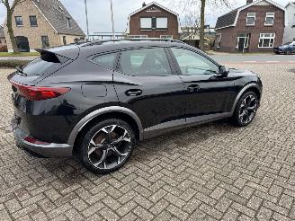 Cupra Formentor 2.0 TSI  VZ 245 Pk DSG picture 12
