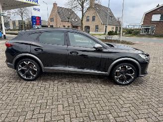 Cupra Formentor 2.0 TSI  VZ 245 Pk DSG picture 10