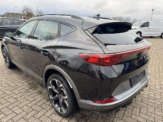 Cupra Formentor 2.0 TSI  VZ 245 Pk DSG picture 16