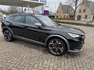 Cupra Formentor 2.0 TSI  VZ 245 Pk DSG picture 8