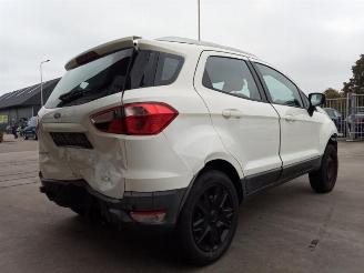 Ford EcoSport EcoSport (JK8), SUV, 2013 1.0 EcoBoost 12V 125 picture 8