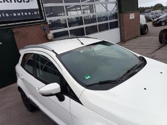 Ford EcoSport EcoSport (JK8), SUV, 2013 1.0 EcoBoost 12V 125 picture 11