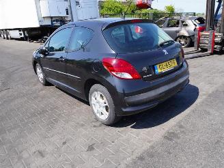 Peugeot 207 1.4 picture 2