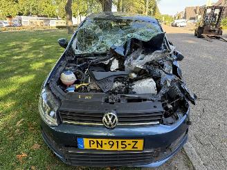 Volkswagen   picture 8