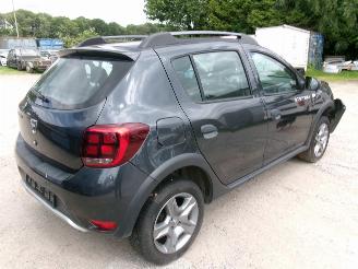 Dacia Sandero 09 Stepway - Rainbow picture 4