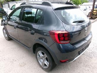 Dacia Sandero 09 Stepway - Rainbow picture 5