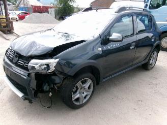 Dacia Sandero 09 Stepway - Rainbow picture 2