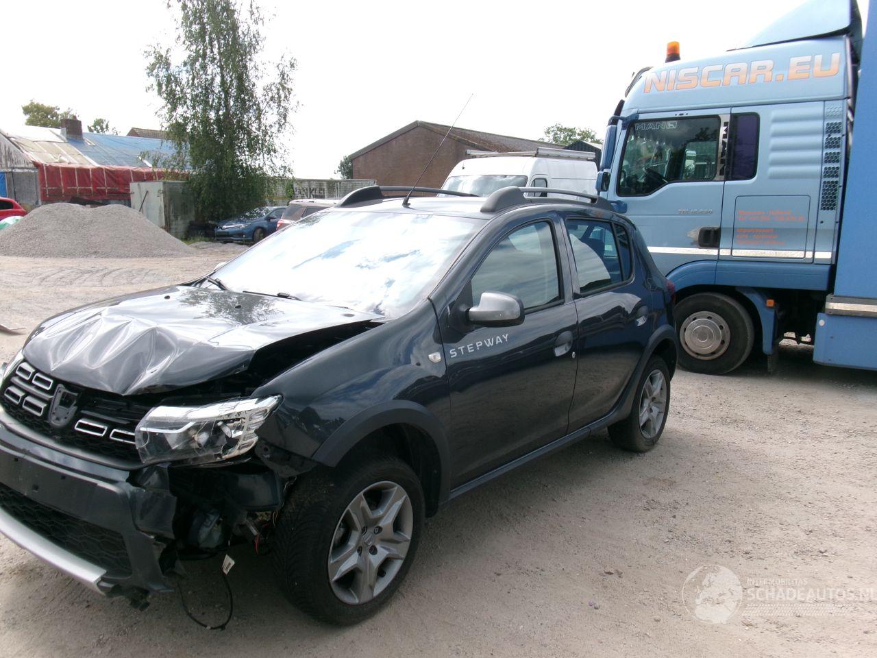 Dacia Sandero 09 Stepway - Rainbow
