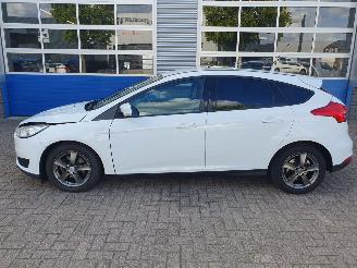 Ford Focus 1.0 Trend Edition picture 2